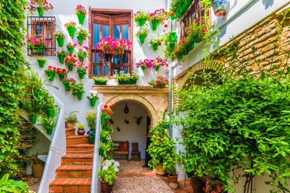 Free tour pelos pátios de Córdoba