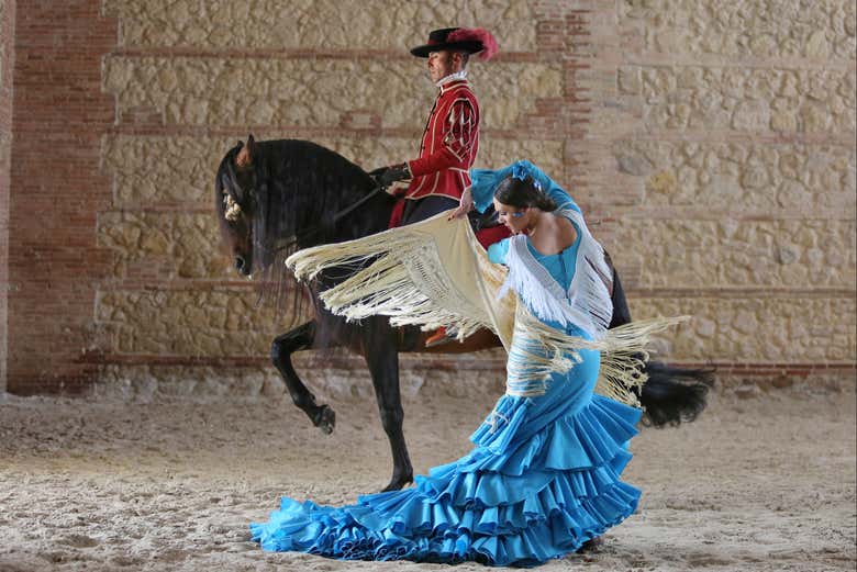 Começa o espetáculo equestre!
