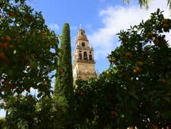 A torre campanário
