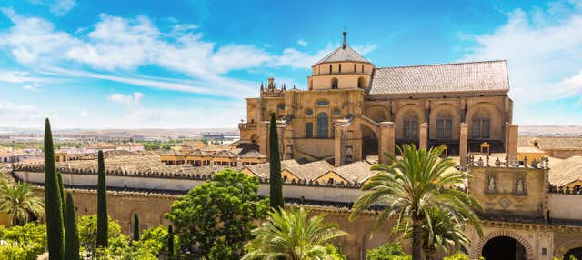 Visita guiada pela Mesquita e Alcácer